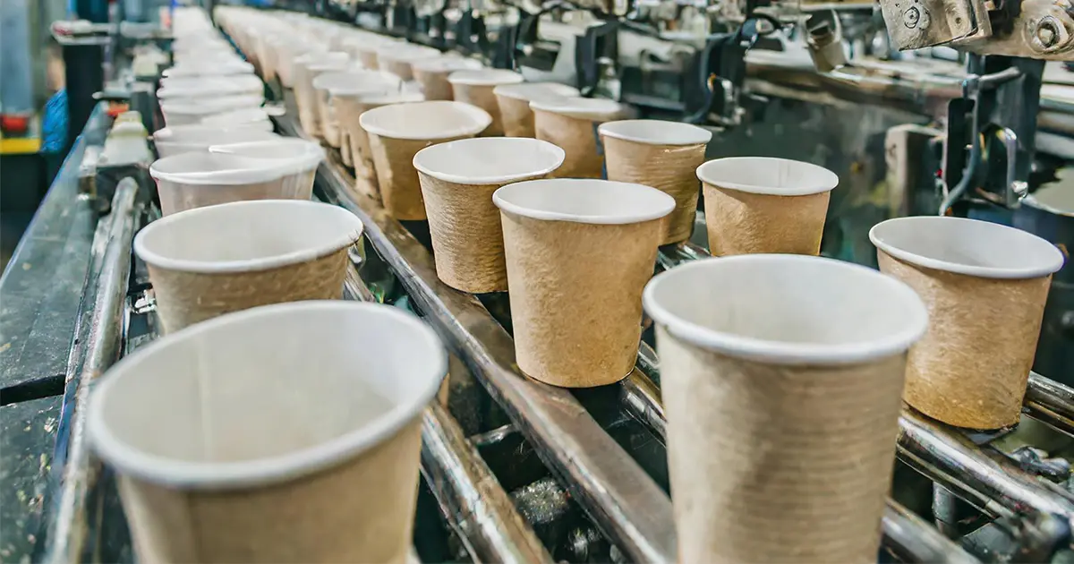 Carton-Plastic Cup Production Line: Needs, Prices, and Profitability